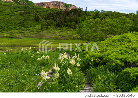 百花名山 日內山天狗園 百花名山 日內山天狗園 80380540