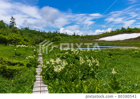 百花名山 日內山天狗園 80380541