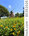 Funabashi Andersen Park. Sunflower flowerbed and windmill (July) Funabashi City, Chiba Prefecture 80381026