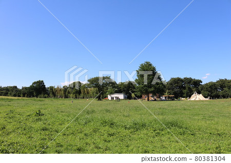 東京杉並區久賀山高井公園廣場 東京杉並區久賀山高井公園廣場 80381304