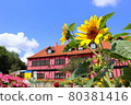 Funabashi Andersen Park. Sunflower potted plant and community center (July) Funabashi City, Chiba Prefecture 80381416