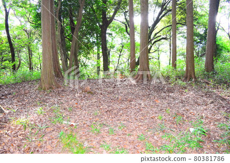 高根城【續日本城 100 強】 80381786