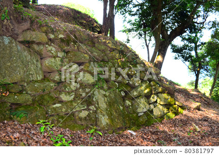 高根城【續日本城 100 強】 80381797