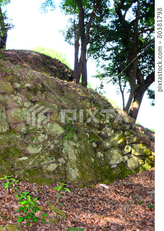 高根城【續日本城 100 強】 80381798