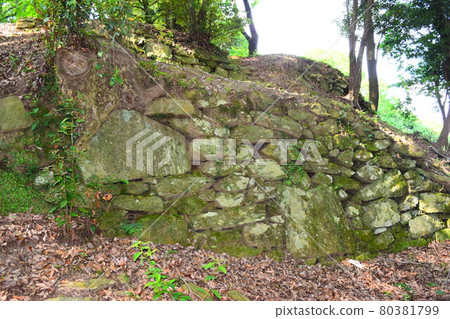 高根城【續日本城 100 強】 80381799