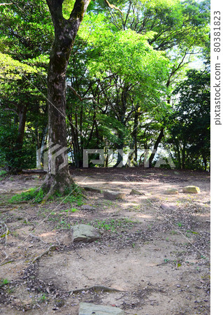 高根城【續日本城 100 強】 高根城【續日本城 100 強】 80381823