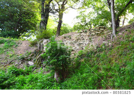 高根城【續日本城 100 強】 高根城【續日本城 100 強】 80381825