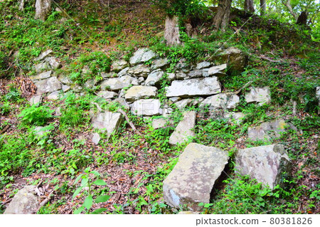 Takane Castle [Continued Top 100 Japanese Castles] 80381826