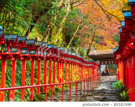 秋天的京都貴船神社方法 秋天的京都貴船神社方法 80382996