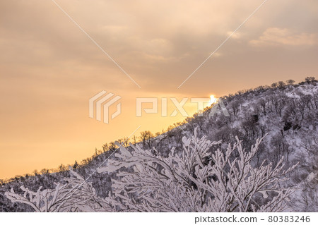 兵庫縣最高峰兵野山山頂的黎明（兵庫縣矢部市橫木大矢町）*作品評論區拍攝位置 80383246