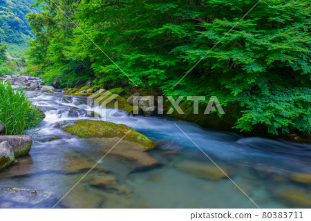 Fresh green and mountain stream Fresh green and mountain stream 80383711