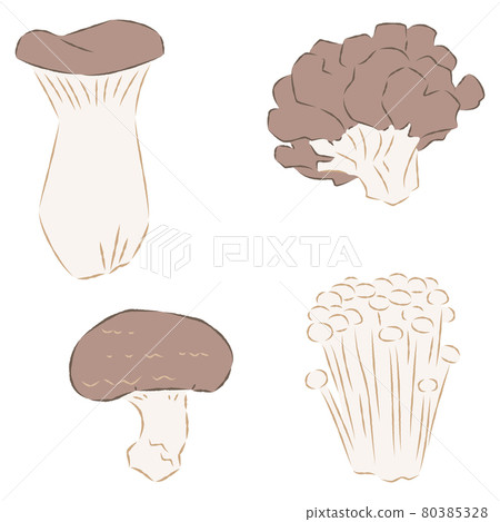 蘑菇插圖 80385328