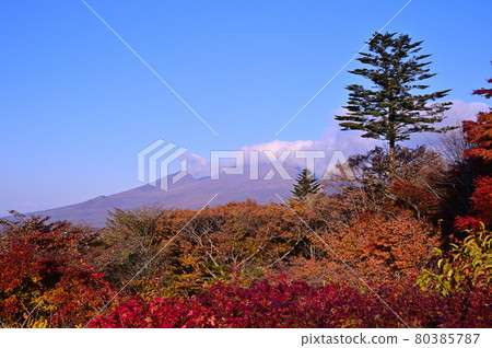 在晨光中的淺間山 80385787