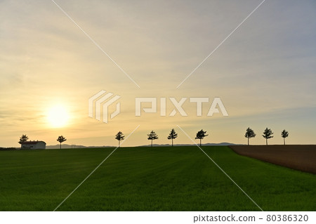 Okinomiya童話山 Okinomiya童話山 80386320