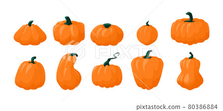 Cartoon pumpkin. Autumn gourd vegetable for... - Stock Illustration  [80386884] - PIXTA