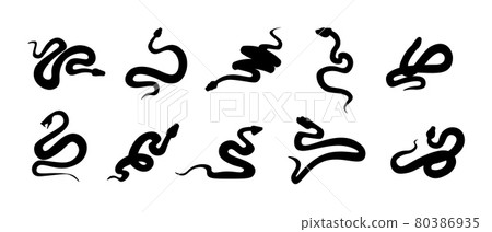 Black snakes. Silhouettes of reptiles with long tails. Wild serpents set. Simple shapes on white. Dangerous vertebrate animals signs. Tattoo template. Vector cold-blooded predators 80386935