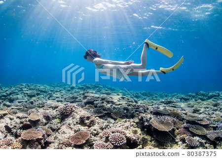Coral Ver_08 with a woman diving (skin diving) on Ishigaki Island, Okinawa Prefecture Coral Ver_08 with a woman diving (skin diving) on Ishigaki Island, Okinawa Prefecture 80387375