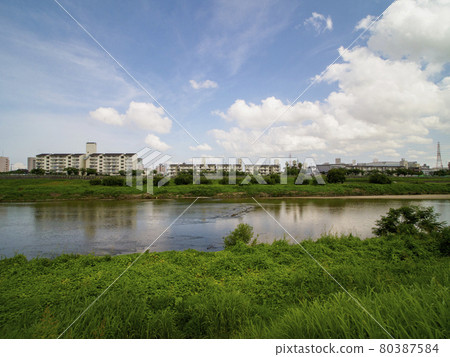 盛夏大和川沿岸的風景 80387584