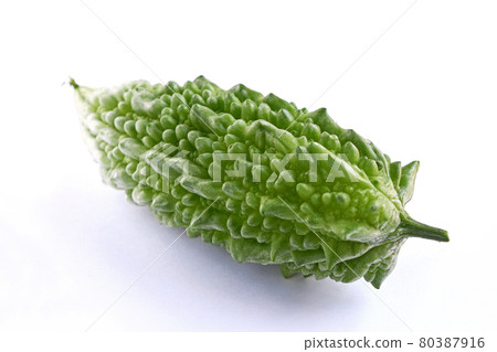 菜園的網橋苦瓜 菜園的網橋苦瓜 80387916