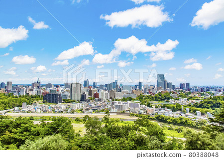 仙台市全景 仙台市全景 80388048