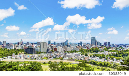 A panoramic view of Sendai city 80388049