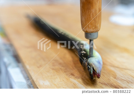 處理鰻魚 處理鰻魚 80388222