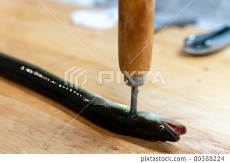 Handle eels 80388224