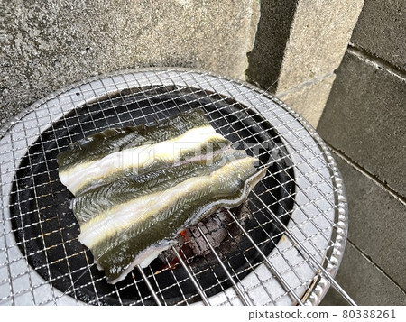 Grilled eel 80388261