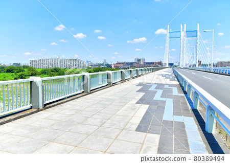 Koremasa Bridge / Tama River overlooking Fuchu City (Fuchu City, Tokyo) [2021.7] 80389494