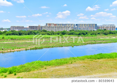 是政橋 / 多摩川下游 眺望府中市（東京府中市） [2021.7] 80389643