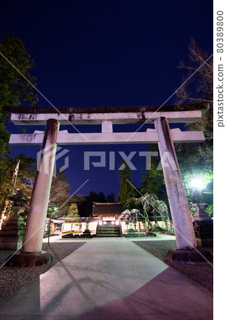 Taga Taisha Sakura 2021 80389800