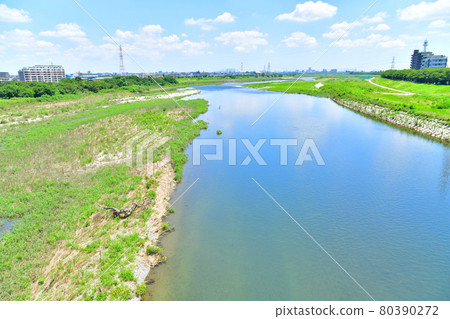 Looking downstream from Koremasa Bridge / Tama River (Fuchu City, Tokyo) [2021.7] 80390272