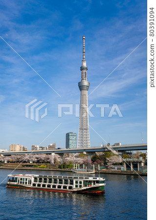 東京春天的隅田川和東京晴空塔 東京春天的隅田川和東京晴空塔 80391094