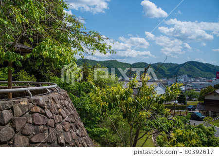 Scenery from Koriyama Castle Park (May 2021) 80392617