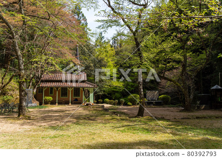 Scenery around Otome Toge Maria Basilica (April 2021) Scenery around Otome Toge Maria Basilica (April 2021) 80392793