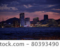 Night view from Port Island - Kobe Bridge, Meriken Park, Kobe Harborland 80393490