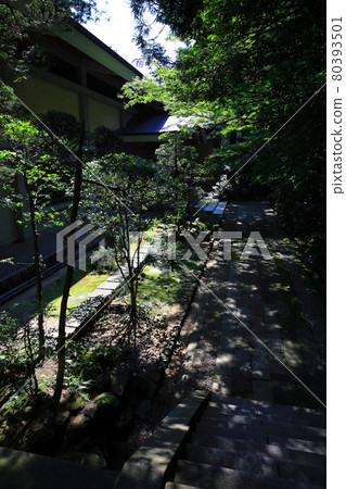 The precincts of Yahiko Shrine The precincts of Yahiko Shrine 80393501