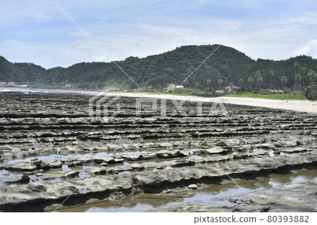 青島海 80393882