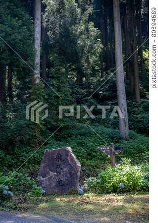 Ryusogataki Summer，拍攝於2021年7月/福井縣池田町東尾市 80394689