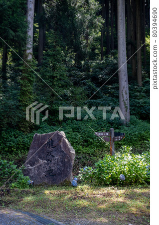 Ryusogataki Summer,拍攝於2021年7月/福井縣池田町東尾市 Ryusogataki Summer,拍攝於2021年7月/福井縣池田町東尾市 80394690