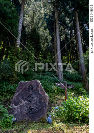 Ryusogataki Summer,拍攝於2021年7月/福井縣池田町東尾市 Ryusogataki Summer,拍攝於2021年7月/福井縣池田町東尾市 80394691