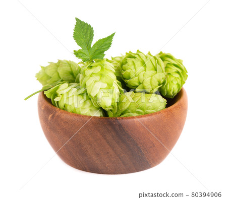 Fresh green hops branch in wooden bowl, isolated on a white background. Hop cones with leaf. Organic Hop Flowers. Close up. 80394906