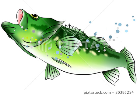 Popular fishing black bass Popular fishing black bass 80395254
