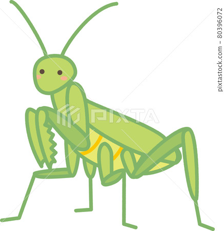 螳螂可愛的插圖 螳螂可愛的插圖 80396072