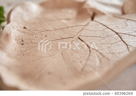Texture of the leaf at the future plate after imprinting at it real plant Texture of the leaf at the future plate after imprinting at it real plant 80396269