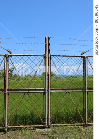 Barbed wire and iron fence 80396345