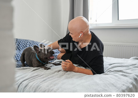Bald woman wearing earphones laying at the bed and resting with her french bulldog Bald woman wearing earphones laying at the bed and resting with her french bulldog 80397620