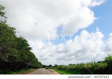 夏天的天空，地平線，積雨雲，北海道 80397921