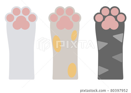 Illustrations by type of animal hands and paws Illustrations by type of animal hands and paws 80397952