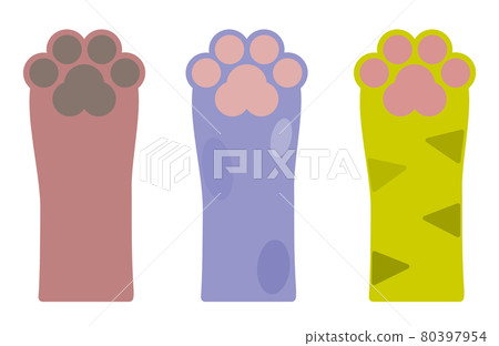 按動物手和爪子類型的插圖 80397954